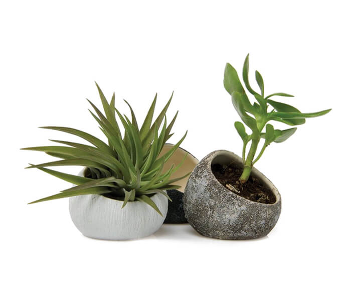 product_16