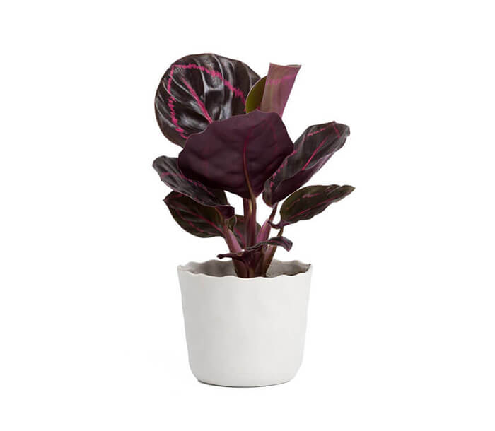 product_2