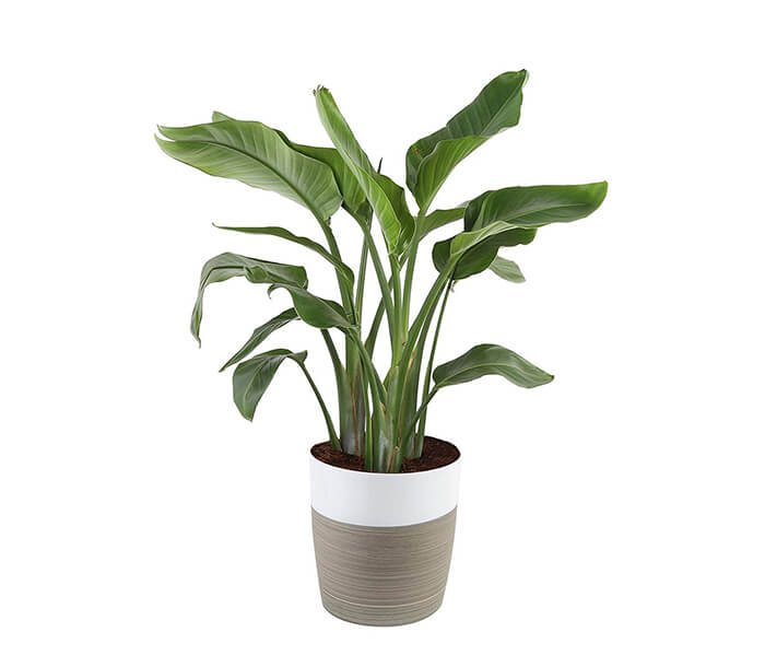 product_23