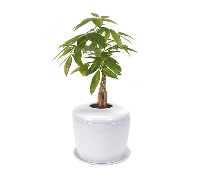 product_27