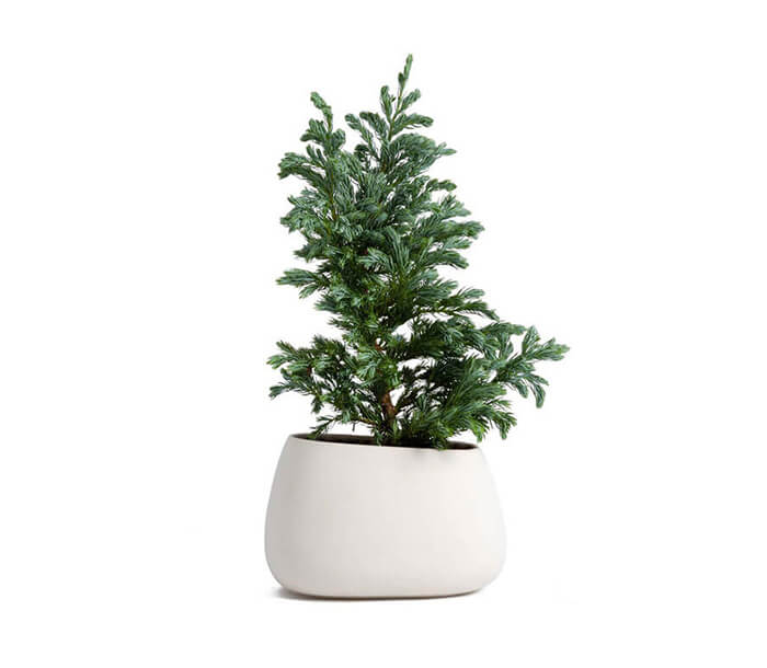 product_4